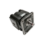 Zahnradpumpe aus Gusseisen, PG330-34D-G38P2 Europäischer Typ