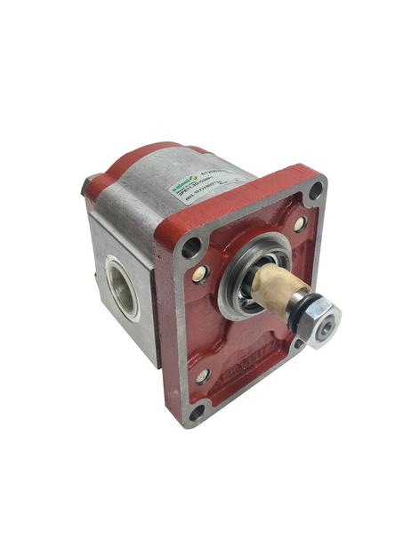 Aluminum gear pump, group 2, 2PE11.3D(S)28P1, European type