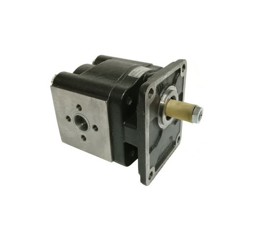 Cast iron gear pump, PG330-47D-P38P2 European type