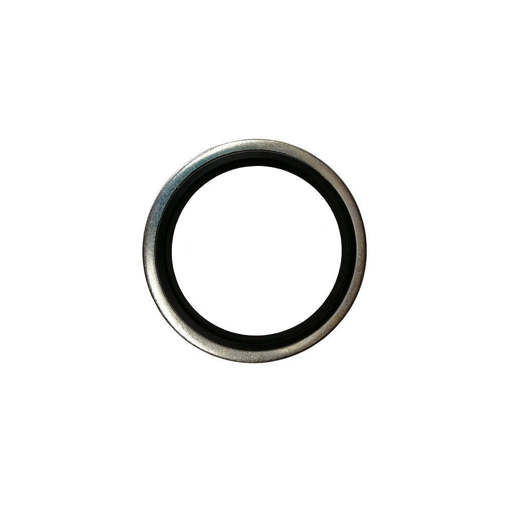 Hose Gaskets metal-rubber with G 1" guide