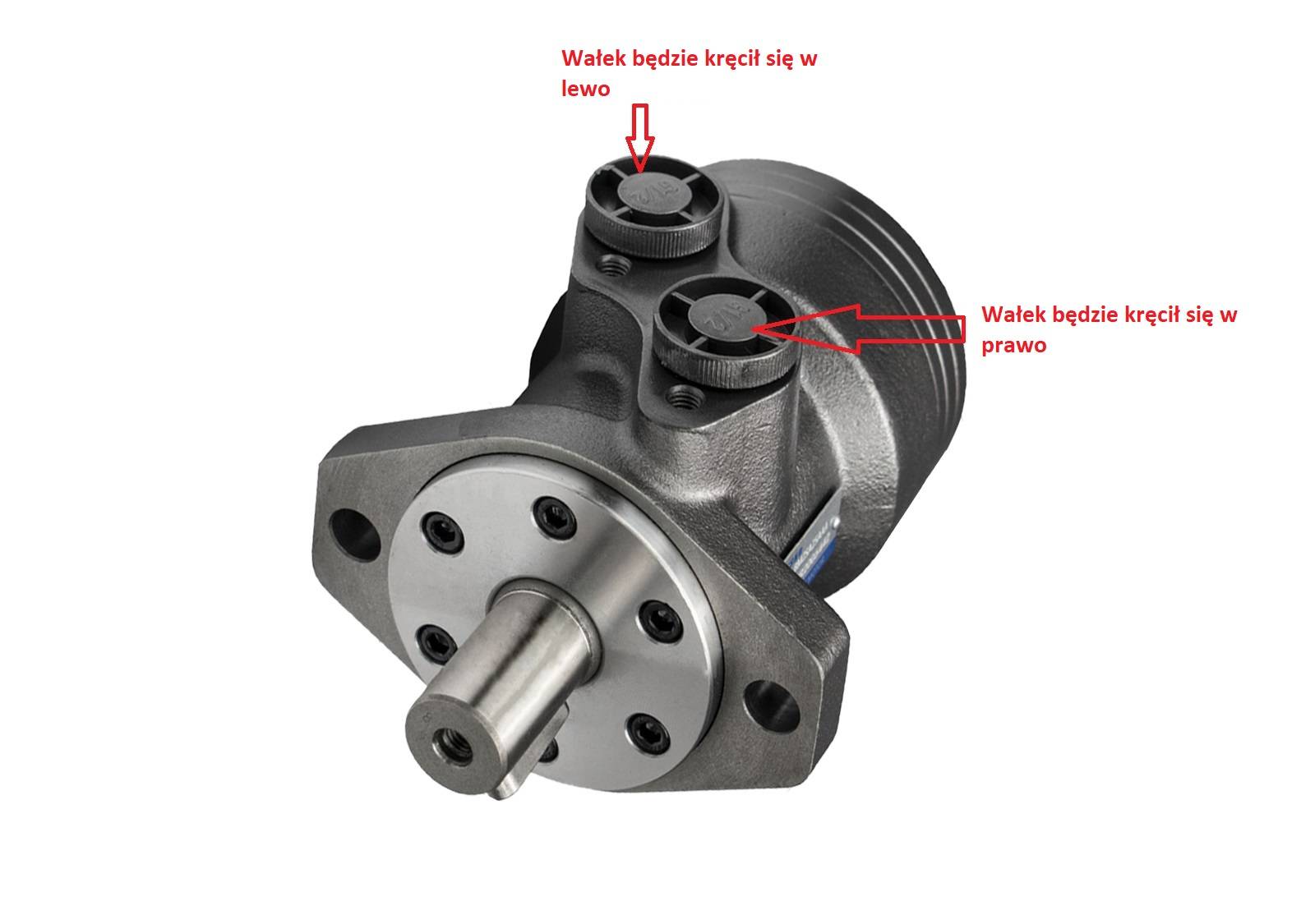 Hydraulic Motor BM2 125 25mm shaft BMR OMR SMR + Ferrule SPAWALNA