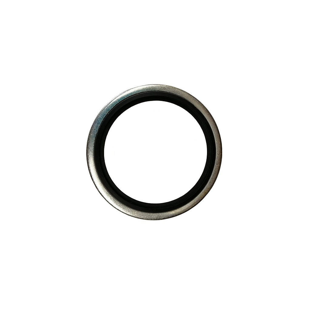 Hose Gaskets metal-rubber with guide G 1/2"